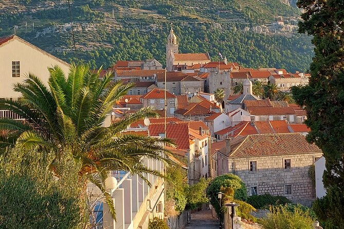 1 Hour Private Walking Tour in Korcula - Weather, cancellation, and practical limits