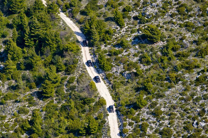 2-Hour Dubrovnik Private Buggy Panorama Safari - Is it suitable for children and mixed-age families?