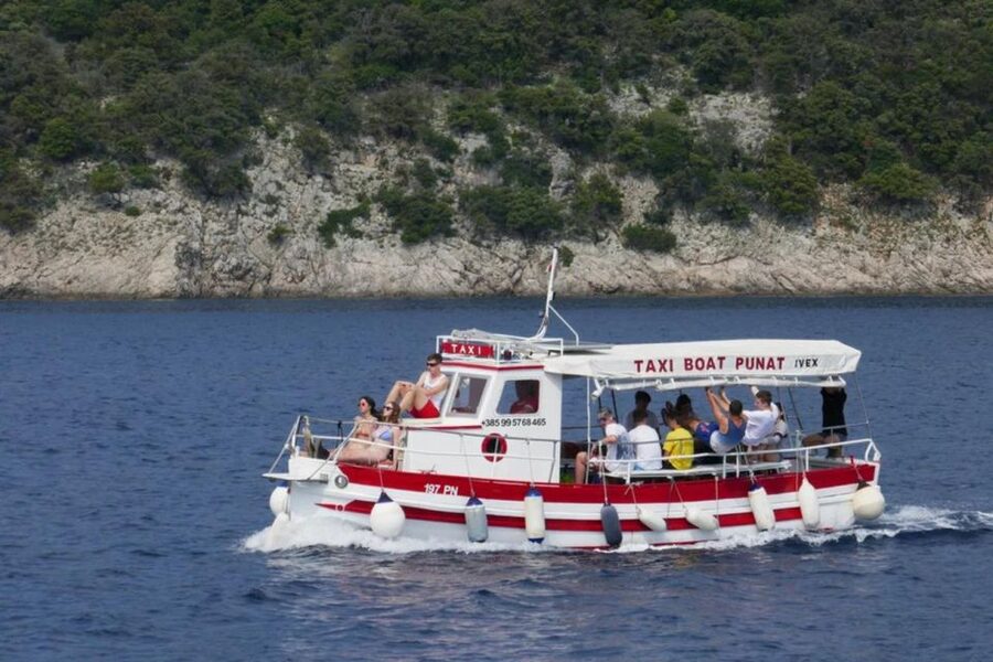 3,5h Wild Bays: Swim & Snorkel with Capt. Bobo (Public) - Key points to know before you book