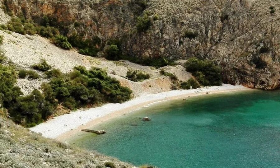 3,5h Wild Bays: Swim & Snorkel with Capt. Bobo (Public) - About two hours for swimming and snorkeling