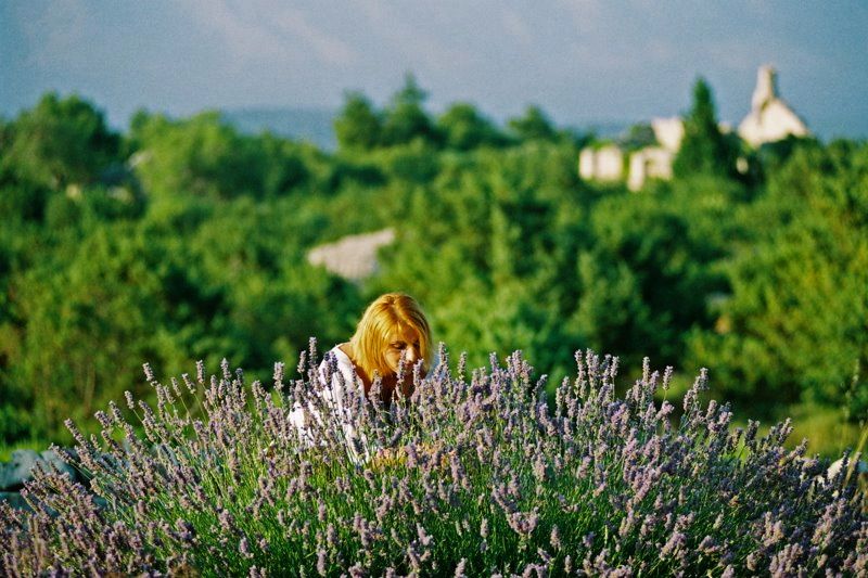 3-Hour Lavender Tour from Hvar - Who will enjoy this Hvar lavender tour