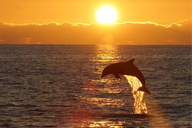 3hours all inclusive Sunset&Dolphin Tour from Medulin on Sandra - Porer Lighthouse and the sunset hour