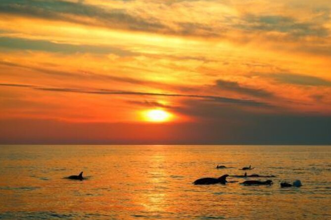 3hours all inclusive Sunset&Dolphin Tour from Medulin on Sandra - Choosing your place on the boat