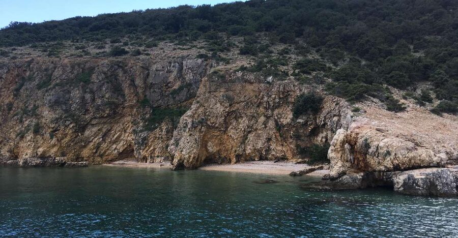 5h Plavnik Island: Swim & Snorkel with Capt. Bobo (Public) - Who should book this Plavnik trip?