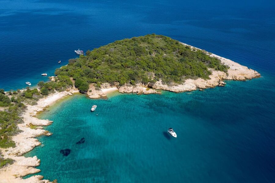 5h Plavnik Island: Swim & Snorkel with Capt. Bobo (Public) - Is $58 a fair price?