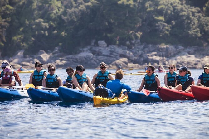 Afternoon Kayaking in Dubrovnik - Key points before you book