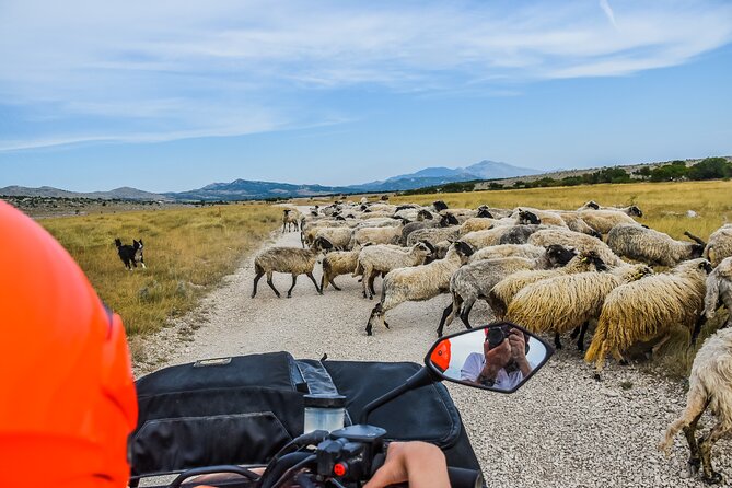 ATV Dinara Mountain tour with picnic - Practical tips for a smoother ride
