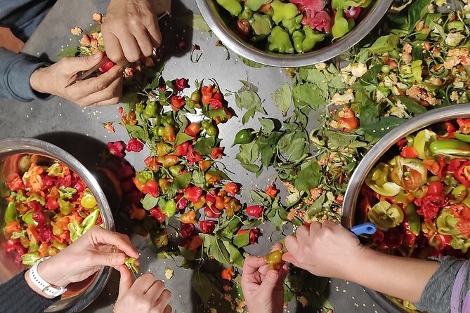 Authentic Garden to Table Cooking Class in Dubrovnik Countryside - Lunch, homemade wine, and family stories