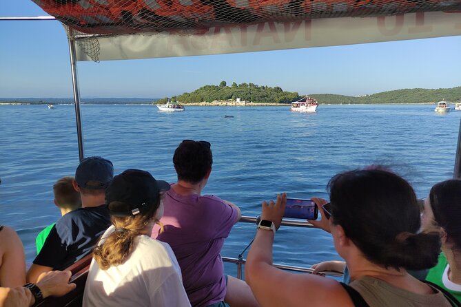 Beautiful Sunset and Dolphin Watching - Who will enjoy this trip most