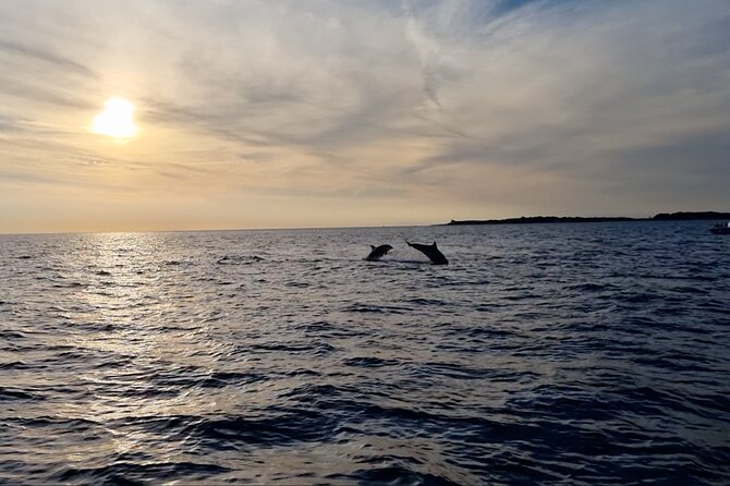 Beautiful Sunset and Dolphin Watching - Practical tips for a better evening