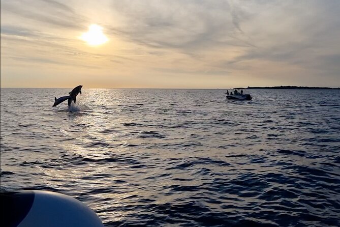 Beautiful Sunset and Dolphin Watching - What the Kristina experience feels like