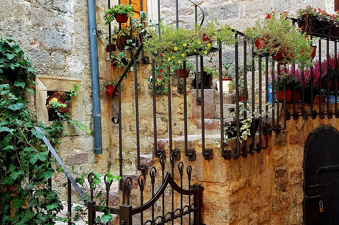 Best of Montenegro and Kotor private tour - Kotor Old Town, with a guided hour and free time