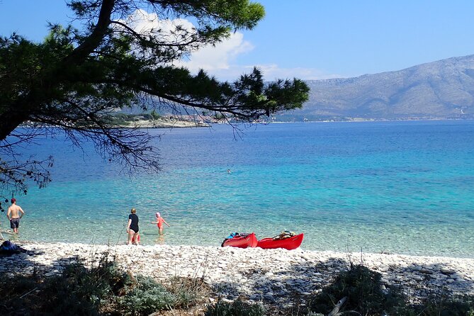 Bits of History - Half day kayak Tour with Wine delight - The guides are central to the experience