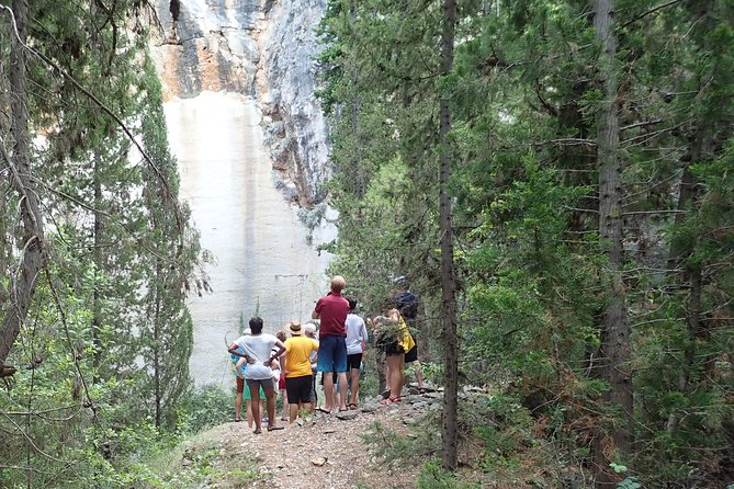 Bits of History - Half day kayak Tour with Wine delight - What the $78.64 price includes in practical terms