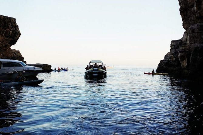 Blue Cave | 5-Hour Afternoon Sea Safari - Who will enjoy this sea safari most