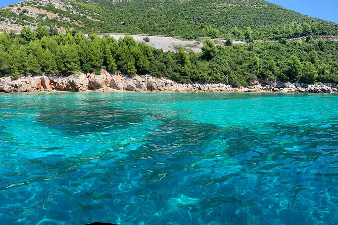 Blue Cave & Caves Small Group Tour – Dubrovnik’s Hidden Coastline - Swimming into the Blue Cave