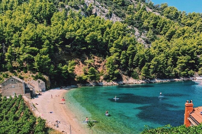Brac, Hvar, & Solta Day Trip: Snorkeling, Wine & Lunch from Split - The pace, group size, and practical tradeoffs