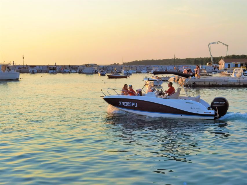 Brijuni Islands: Sunset & Dolphins private boat tour - Searching for dolphins on the Adriatic