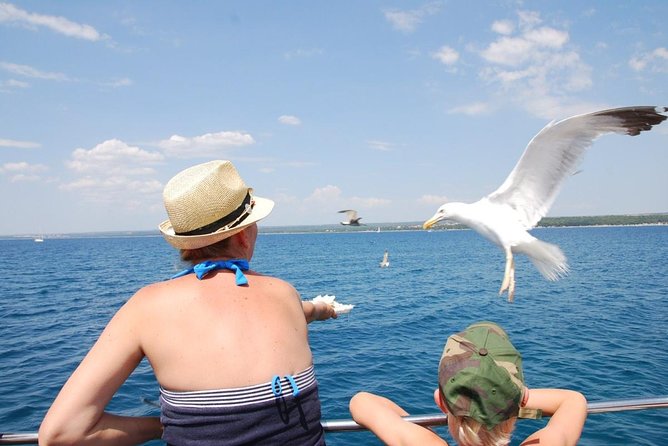 Brijuni National Park Boat Excursion from Pula. With a visit to the island - Who will enjoy this Pula boat trip