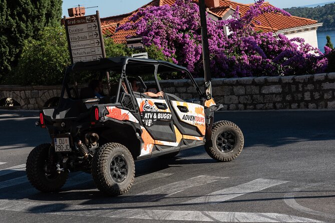 Buggy Dubrovnik Panorama Tour (Private) - Park Orsula, Dubrovnik’s postcard view