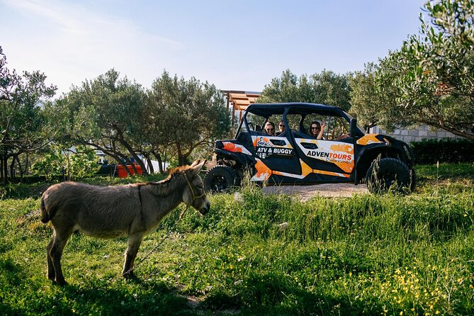 Buggy Dubrovnik Safari Tour (Private) - Mount Srd: a 15-minute panorama over Dubrovnik