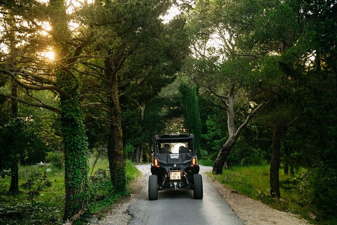 Buggy Dubrovnik Safari Tour (Private) - Is $156.20 per person fair value?