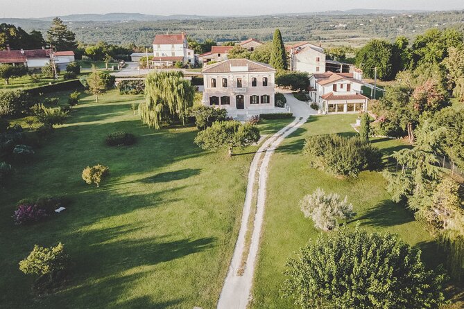 Buje: Authentic Istrian family farm, guided walk, foods & wine - A family farm visit near Buje, not a factory tour