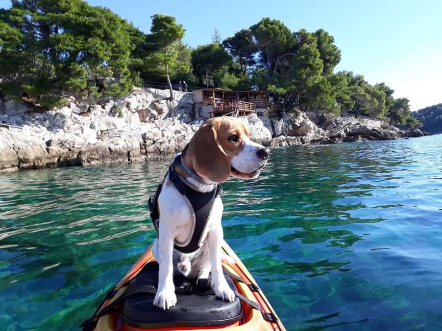 Cavtat: 'Pomalo' Guided Sea Kayaking Tour - Meeting at Beach Blato