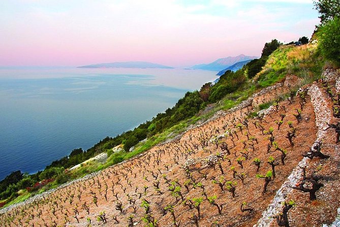 Classic Tour with Wine Tastings from Dubrovnik - Ston’s walls and a very small historic town