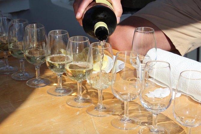 Classic Tour with Wine Tastings from Dubrovnik - Timing, group size, and physical demands