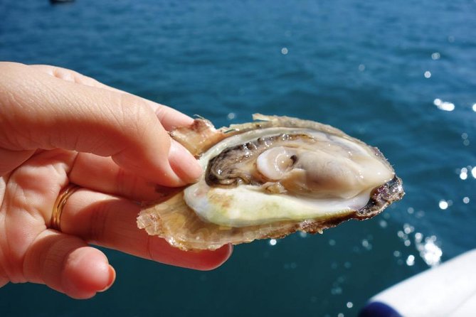 Classic Tour with Wine Tastings from Dubrovnik - Fresh oysters, olive oil, and the food side of the day