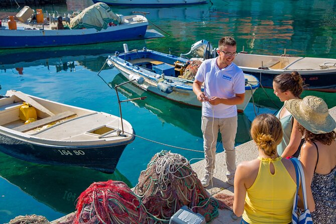 Coastal Vineyards: A Dream Wine Tour to Elaphiti Islands - Timing, weather, and cancellation