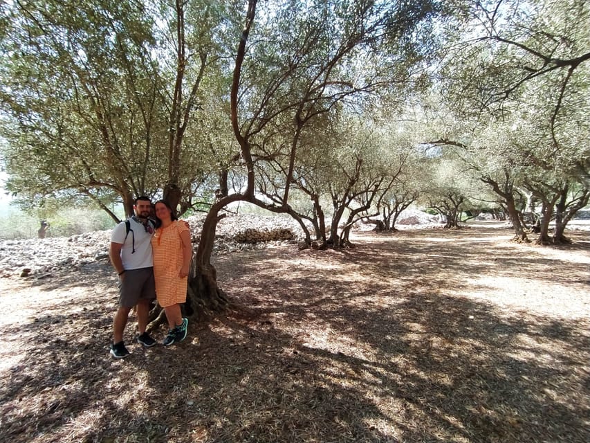 Cres: Olive Oil Walking Tour with Tastings - Timing, weather, and what to bring