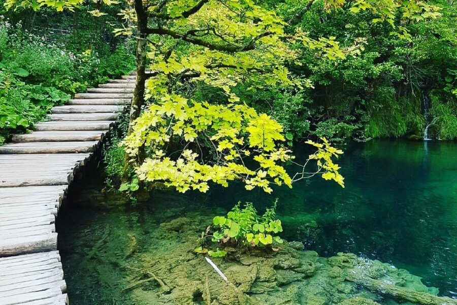 Croatia: Plitvice Lakes Private Tour with Hotel Pickup - The upper lakes and their chain of waterfalls