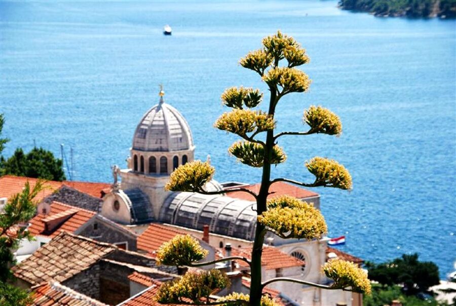 Dalmatian Delights: Food & Wine Tour from Split or Trogir - The return to Split or Trogir