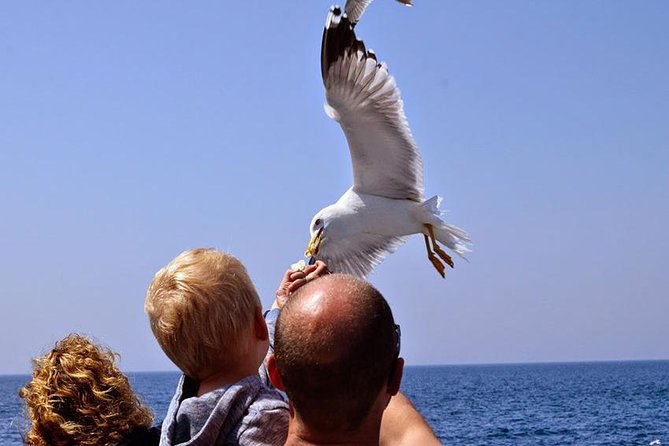 Day Cruise in the Elafiti Islands from Dubrovnik - Weather can change the whole plan