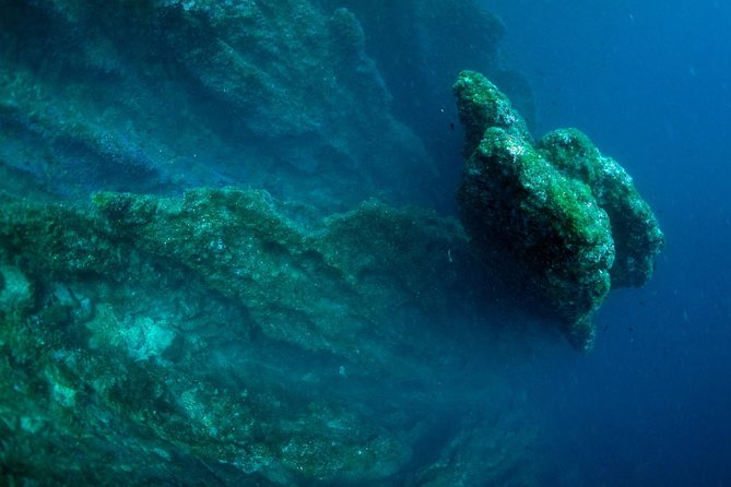 Diving day tour with 2 dives - Why the small group matters