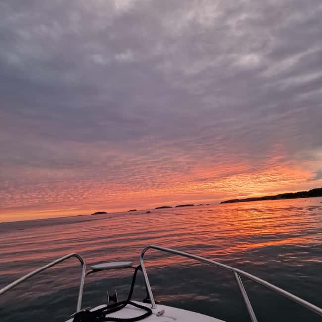 Dolphin private sunset tour Rovinj - Should you book the Dolphin private sunset tour Rovinj?
