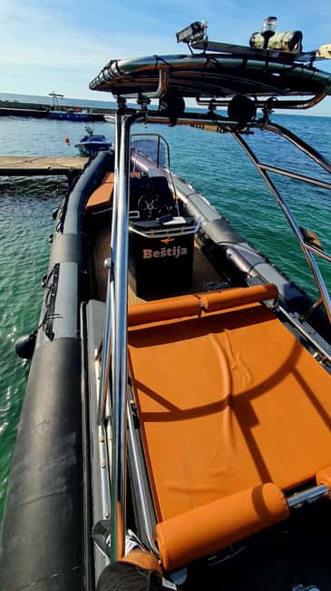 Dolphin safari every evening - Should you book the evening safari?