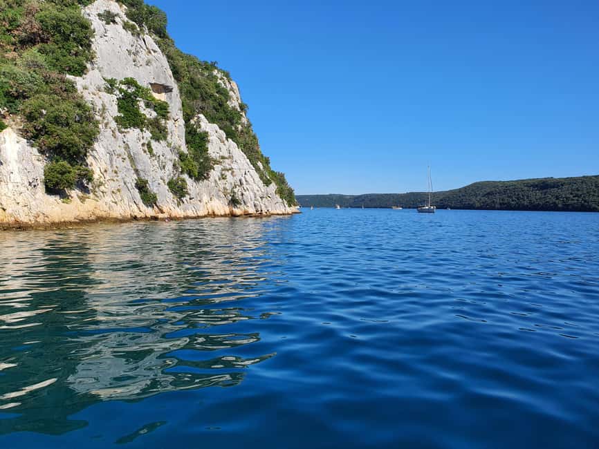 Dolphin safari every evening - Choosing your Istrian boat experience