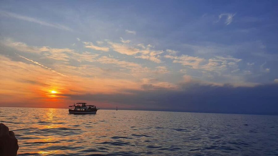Dolphin safari every evening - What the boat adds to the outing