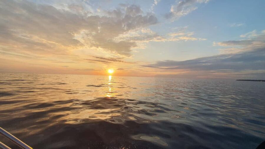 Dolphin safari every evening - Renting with a skipper or driving yourself