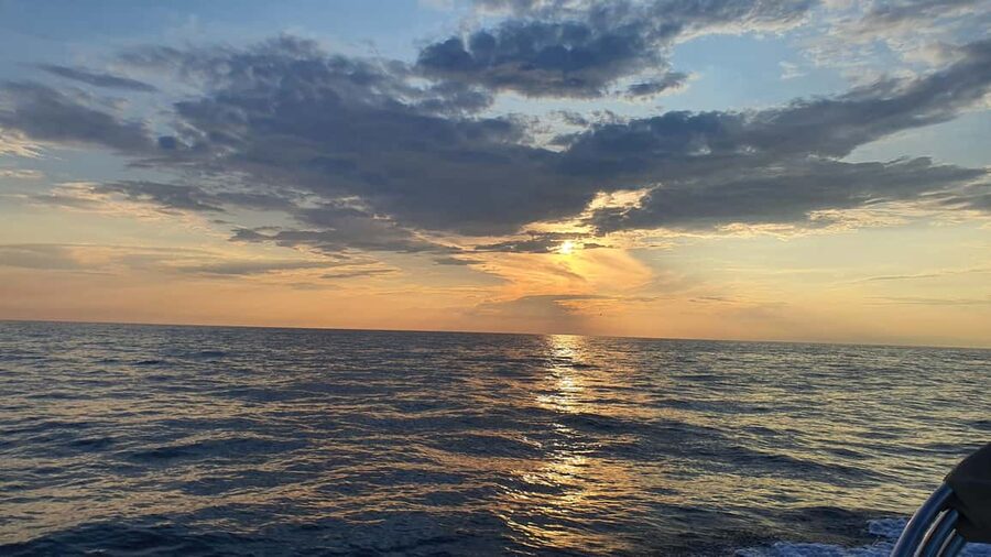 Dolphin safari every evening - The two-hour skipper training course