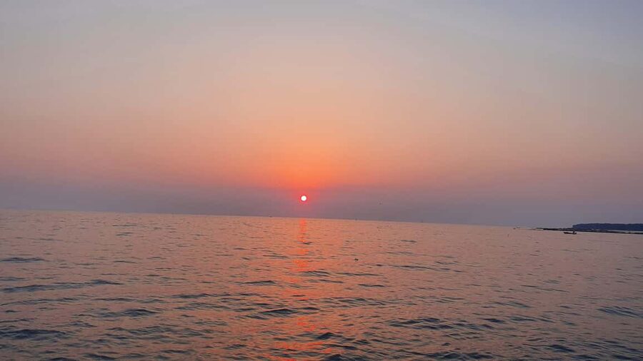 Dolphin safari every evening - What the $35 price represents
