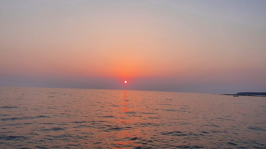 Dolphin safari every evening - Who will enjoy this most