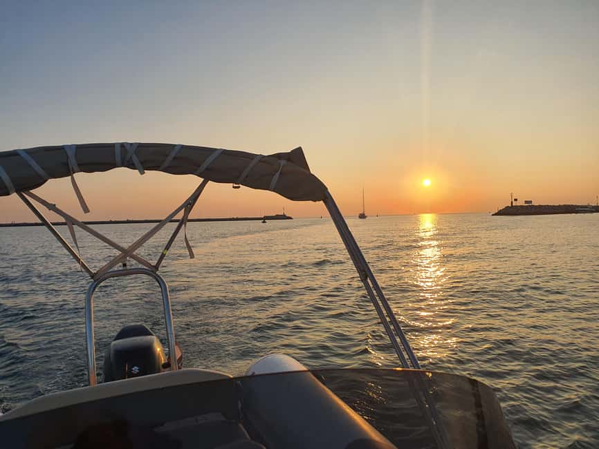 Dolphin safari every evening - The 19:00 dolphin safari