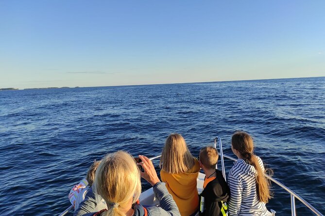Dolphin Sunset Adventure with Speedboat - Who should book this dolphin adventure?