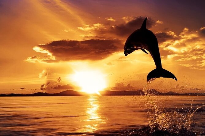 Dolphin Watching & Sunset Boat Tour With Dinner and Drinks - Setting out from Pula Bay