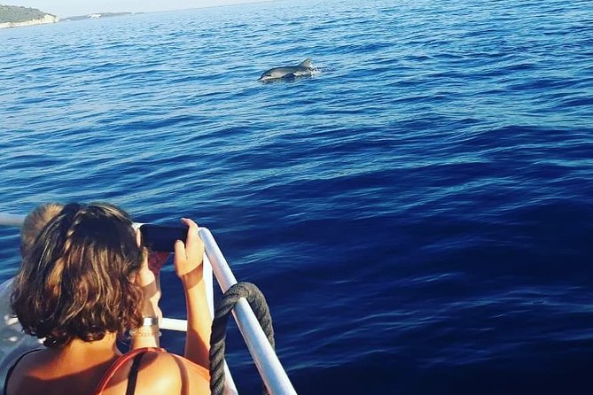 Dolphin Watching & Sunset Boat Tour With Dinner and Drinks - Is the $66.51 price good value?