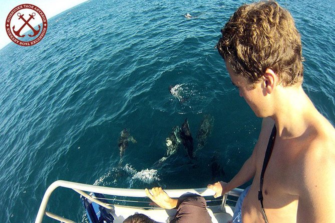 Dolphins Watching in the National Park Brijuni from Pula - Key points to know before you sail